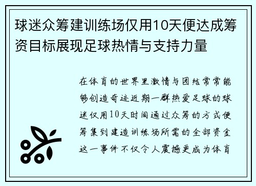 球迷众筹建训练场仅用10天便达成筹资目标展现足球热情与支持力量